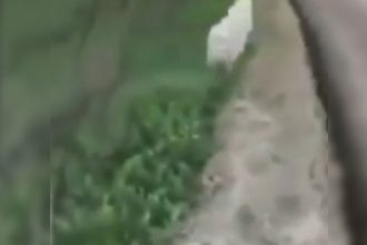 Baixar video Caindo nos mesmo erros