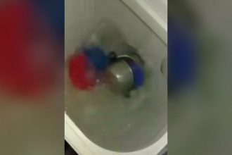 Zueira: Aquele amigo do pitaco