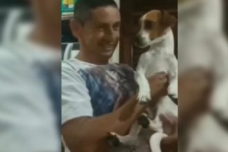 Baixar video O doguinho canta parabéns