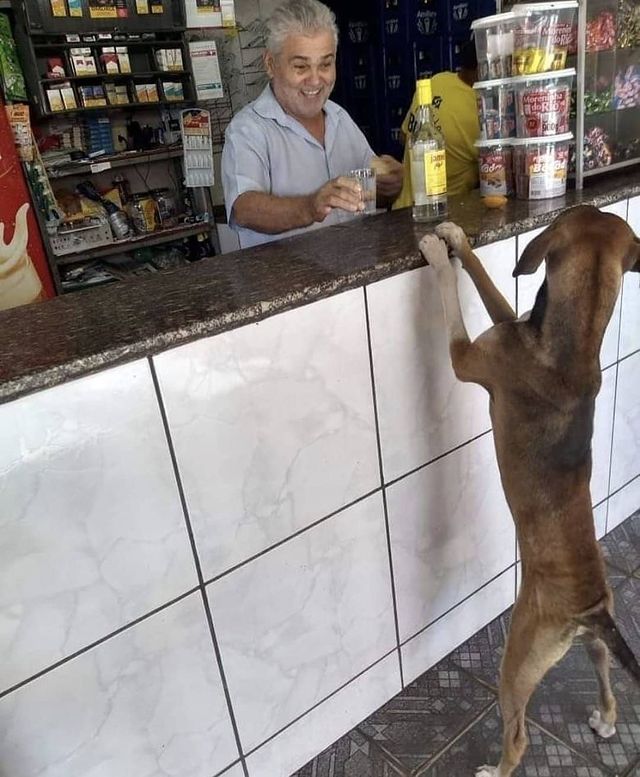 Imagens Engraçadas #17868